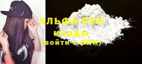 прущие грибы Ессентукская