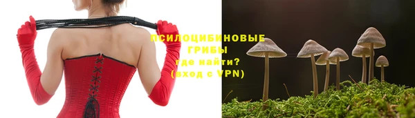 ГАЛЛЮЦИНОГЕННЫЕ ГРИБЫ Алексин