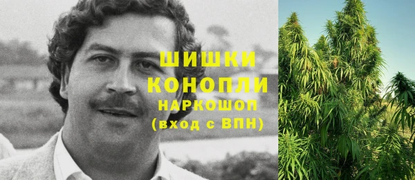 молекула духа Арсеньев