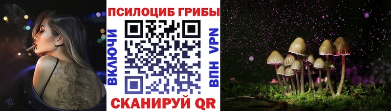 сколько стоит  Агидель  Псилоцибиновые грибы ЛСД 